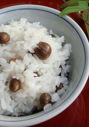 むかごご飯～ほのぼの幸せ♡-レシピのメイン写真