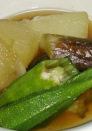 ひやとろ☆冬瓜と茄子のささっと煮物-レシピのメイン写真