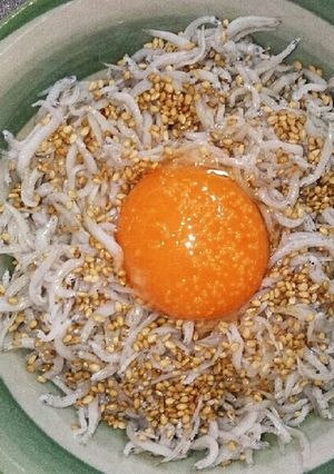 しらす丼-レシピのメイン写真