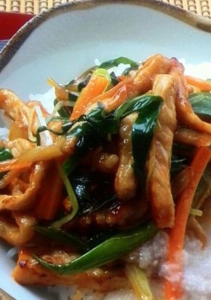 スタミナ素材でスタミナ丼～♪-レシピのメイン写真