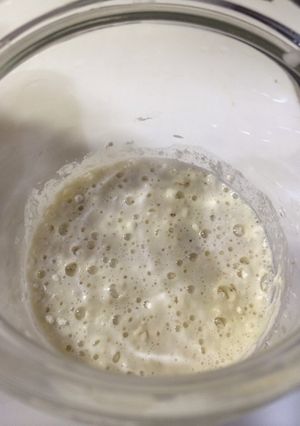 サワードウ(sourdough)-レシピのメイン写真