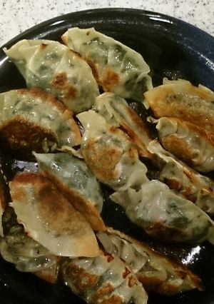 モロヘイヤ入りスタミナ餃子-レシピのメイン写真