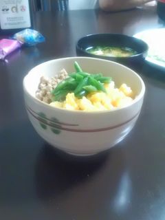 生姜の効いた鳥ソボロ丼-レシピのメイン写真