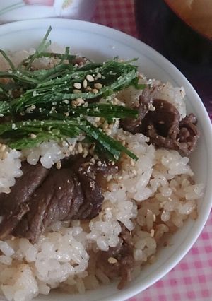 肉飯(｡･ω･)ﾉﾞ自家製シソそえ-レシピのメイン写真