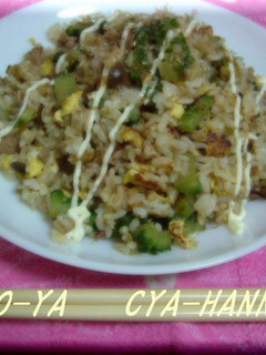 ゴーヤ炒飯-レシピのメイン写真