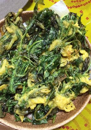 野草を楽しむ～タンポポのパコラ-レシピのメイン写真