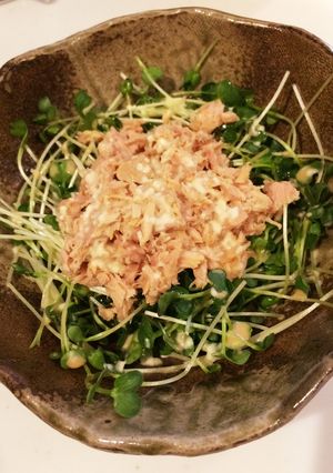 カイワレとツナだけ☆簡単サラダ-レシピのメイン写真