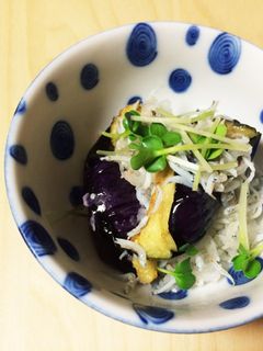 茄子としらすのさっぱり和え-レシピのメイン写真