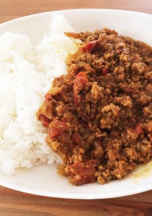 手作りカレーパウダーで作るキーマカレー-レシピのメイン写真