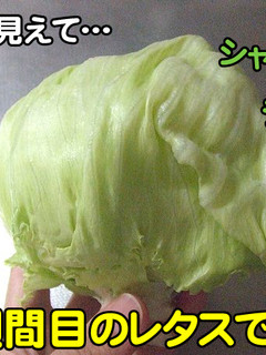 最長3週間!?レタス&キャベツの保存方法-レシピのメイン写真