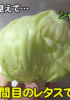 最長３週間!?レタス＆キャベツの保存方法-レシピのメイン写真