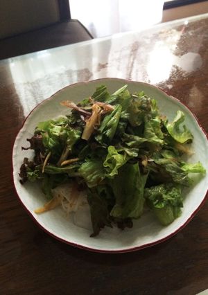 サラダそうめん-レシピのメイン写真