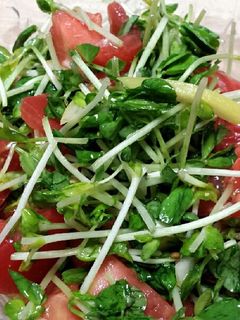 完熟トマトと豆苗の塩レモンサラダ-レシピのメイン写真