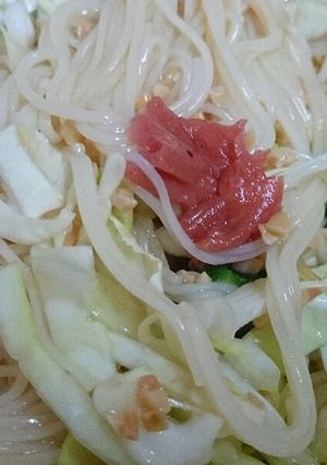 ダイエット！さっぱりそうめん-レシピのメイン写真