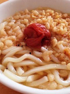 梅干しさっぱりうどん-レシピのメイン写真