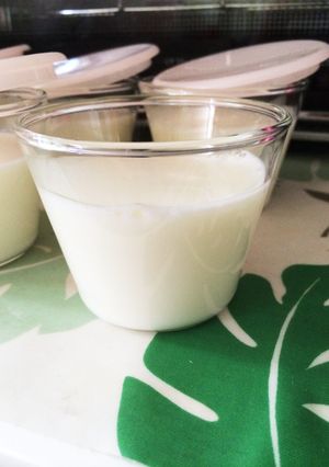 簡単!すぐできる牛乳プリン♡-レシピのメイン写真