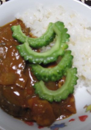 夏野菜と鶏肉のカレー-レシピのメイン写真