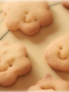 ヘルシー おからクッキー-レシピのメイン写真