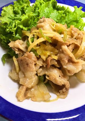 豚肉の生姜の甘辛いため-レシピのメイン写真