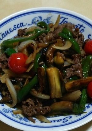 牛肉となすのオイスターソース炒め-レシピのメイン写真