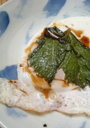 日本の朝！大葉にんにく醤油で目玉焼き-レシピのメイン写真