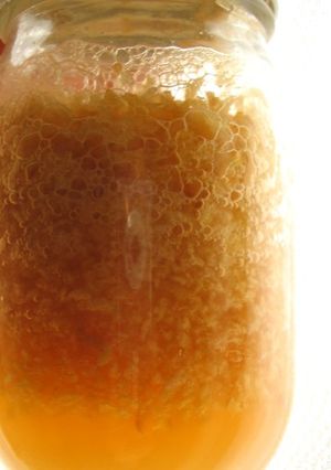 りんご酵母の作り方-レシピのメイン写真