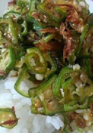 朝食、昼食に。刻みオクラご飯-レシピのメイン写真
