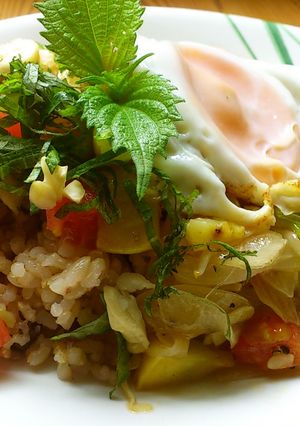 調味料３つ！簡単！酵素玄米で和風ガパオ-レシピのメイン写真