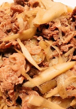 丼でもOK！☆牛肉とごぼうの煮物☆-レシピのメイン写真