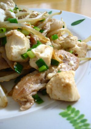 豚肉のチャンプル風あっさり炒め☆-レシピのメイン写真
