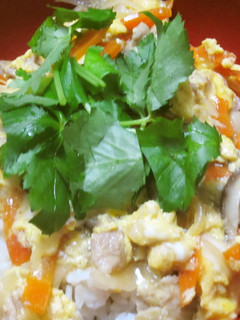 野菜たっぷり親子丼♪-レシピのメイン写真