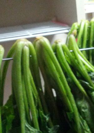 干し野菜☆干し網なしお手軽干しほうれん草-レシピのメイン写真