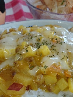 野菜たっぷり簡単カレー丼-レシピのメイン写真