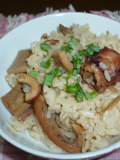 超簡単いか飯・材料2つ-レシピのメイン写真