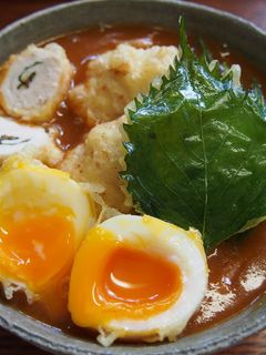 ☆梅ぇ~♪梅ぇ~♪梅カレーうどん☆-レシピのメイン写真