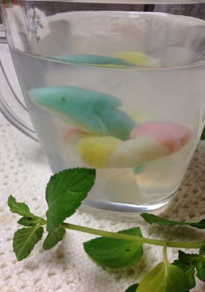 かわいい白玉〜食べられちゃうイルカ〜-レシピのメイン写真