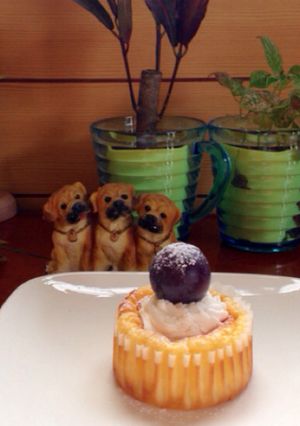 プチ☆チーズケーキ-レシピのメイン写真