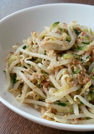 焼き麩で美味しい☆節約もやしのゴマ和え-レシピのメイン写真