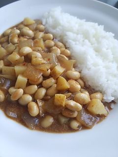 トルコ風ヨーグルトカレー-レシピのメイン写真
