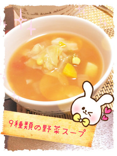 簡単!9種類の野菜スープ☆-レシピのメイン写真