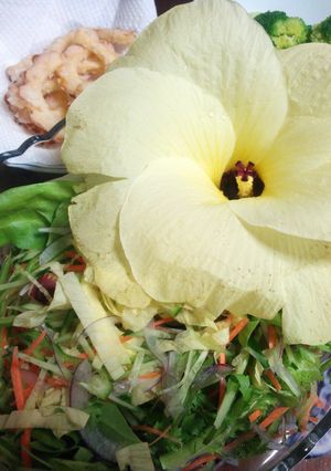 花オクラのサラダ-レシピのメイン写真