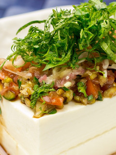 食欲無い!?もっと食べたくなる冷奴-レシピのメイン写真