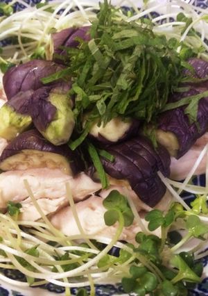 簡単•ヘルシー！鶏ささみとなすの蒸し物-レシピのメイン写真