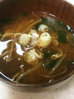 もやしとワカメの味噌汁-レシピのメイン写真