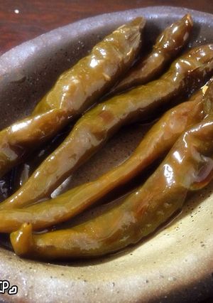 青唐辛子の醤油漬け（かえし醤油だれ）-レシピのメイン写真