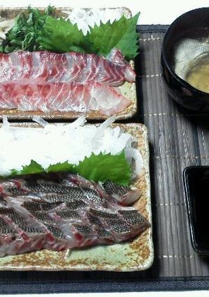 イサキの炙り刺身-レシピのメイン写真