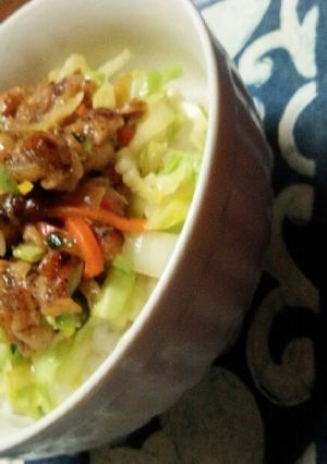 安い！早い！鶏皮で旨丼-レシピのメイン写真