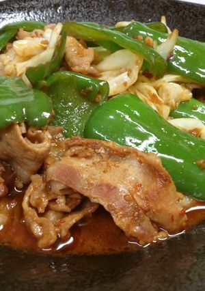 お肉だらけの回鍋肉(^_^;)-レシピのメイン写真