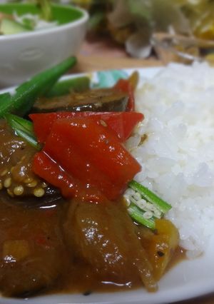 地元の夏野菜をふんだんに使った夏カレー♪-レシピのメイン写真