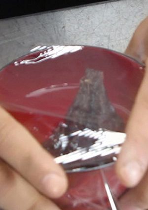 レンジでぜんざい-レシピのメイン写真